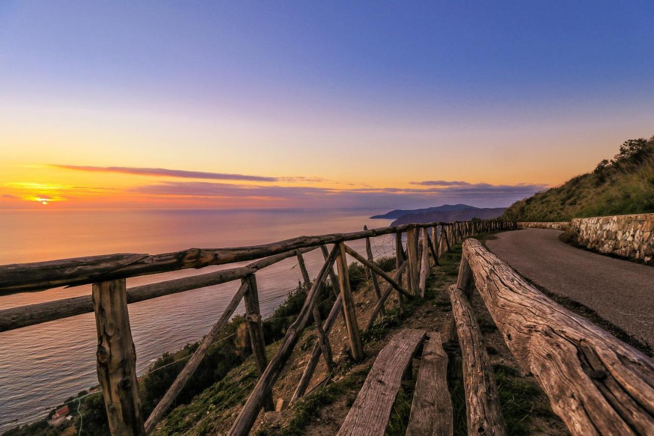 Bed and Breakfast Cilento San Mauro Cilento Zewnętrze zdjęcie