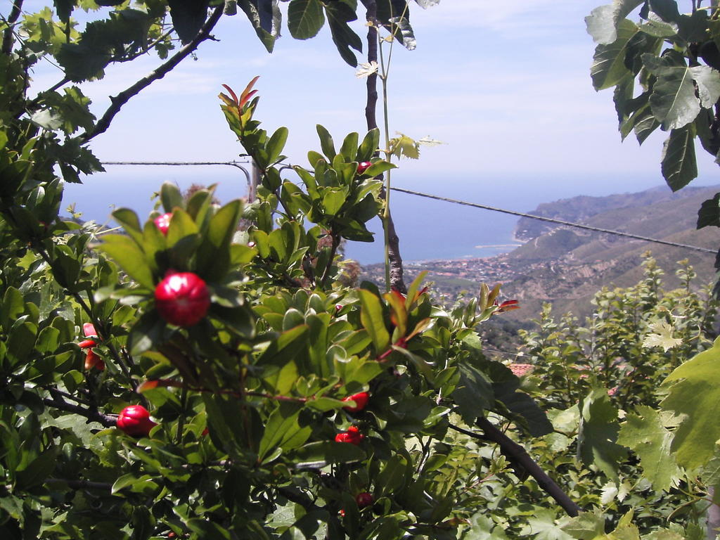 Bed and Breakfast Cilento San Mauro Cilento Zewnętrze zdjęcie
